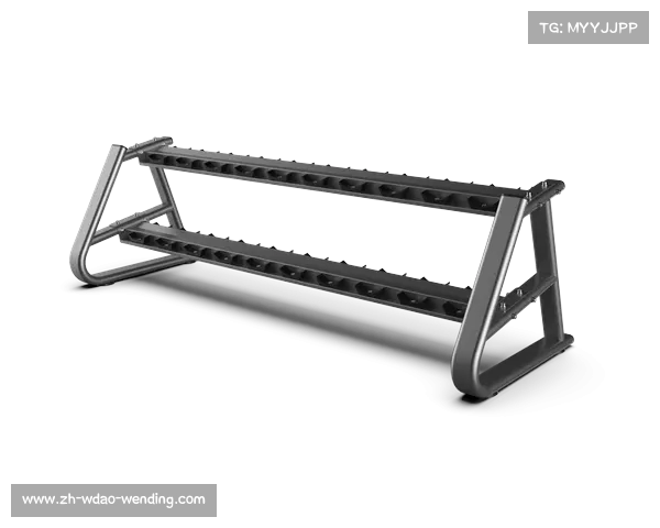高档健身器材：高端健身器材的设计、性能与品牌推荐 (2)