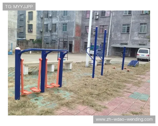 健身器材及设备全景介绍及功能解析 健身器材及设备全景介绍及功能解析